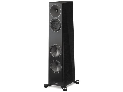 paradigm founder 80f cerny orech ie100979750